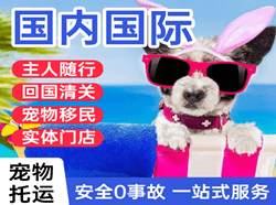 中川航空运输国际宠物托运 【国